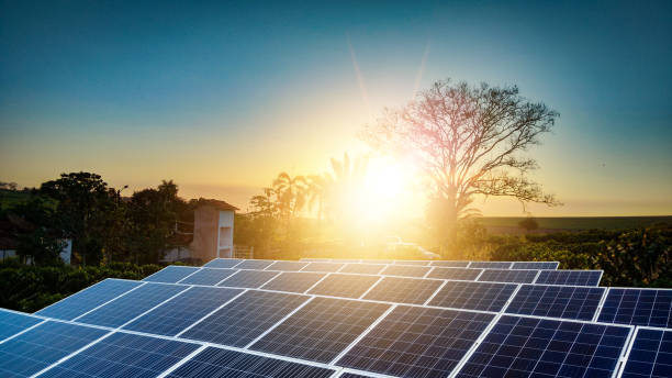 Best Solar Companies Offering Trusted Energy Solutions
