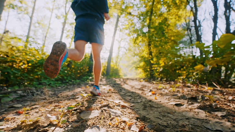 Why Recovery Is Just as Important as Training for Health