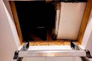 Best Crawl Space Repair in Prince George for Moisture Control